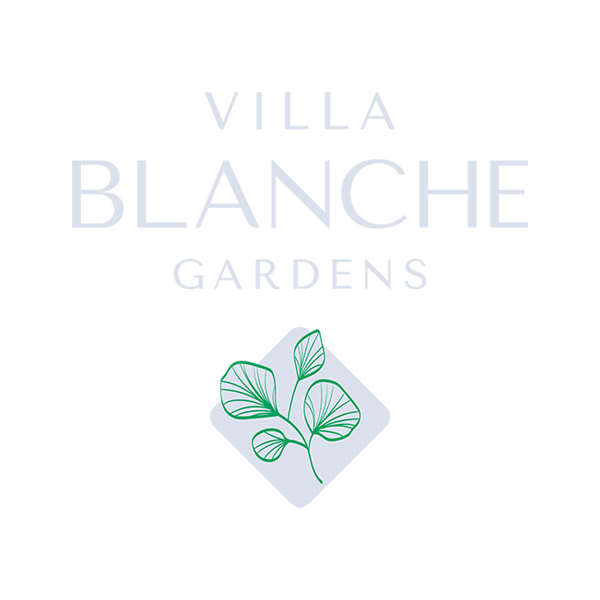 Villa Blanche 